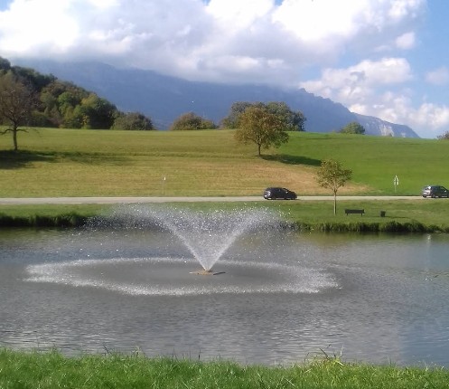 Photo Établissement Restaurant Du Lac - LE LOOCK